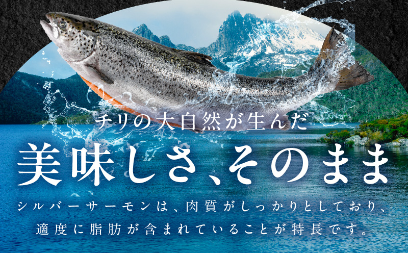 【訳あり】生食用 シルバーサーモン 1kg ポーション【小分け 2-4柵 サイズ不揃い 銀鮭 刺身用 お刺身 魚介 海鮮】 kgp0010