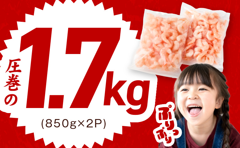 むきえび 総量 1.7kg 特大5Lサイズ【下処理不要 小分け 850g×2P 訳あり サイズ不揃い バナメイエビ バラ凍結】 kgp0012