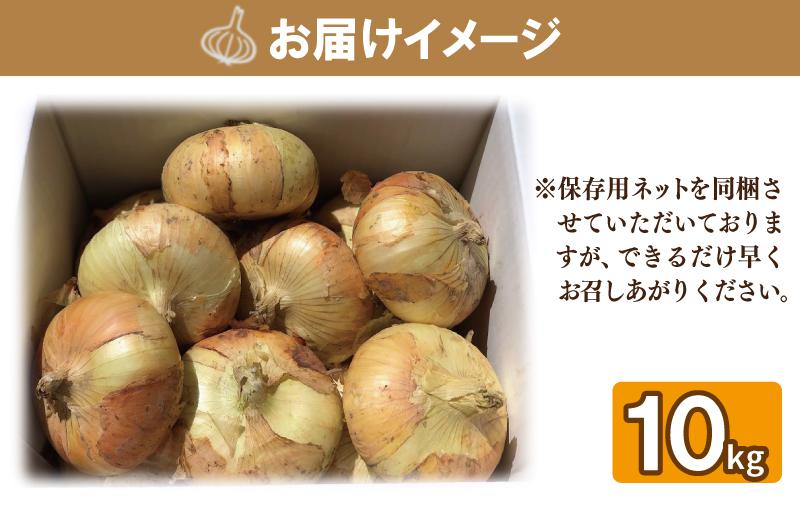 【先行予約】 数量限定 幻のたまねぎ 泉州黄玉ねぎ 10kg【新鮮 野菜 泉佐野産 茄子 やさい 高評価 数量限定】 010B259