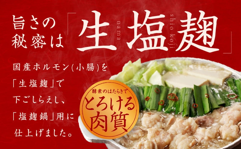 牛もつ鍋セット 15人前【国産 牛肉 ホルモン 塩こうじ スープ付き モツ 鍋 高評価 冷凍 鍋セット 簡単調理】 015B570