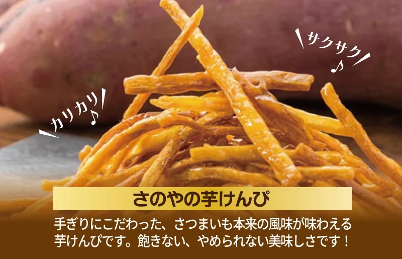 【圧倒的企業努力】芋匠さのや特製 濃厚スイートポテト+芋けんぴ 付き 010B1760