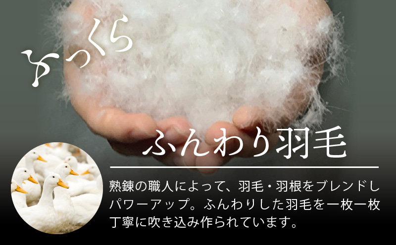 羽毛布団 2枚 シングル 150cm×210cm 訳あり 柄おまかせ【国産 羽毛 ふとん 寝具 掛け布団 羽毛ふとん】 099H3094