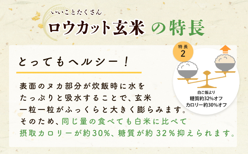 金芽ロウカット玄米4kg（2kg×2袋）【東洋ライス 2kg×2P お米 米 こめ 国産 小分け】 099H202