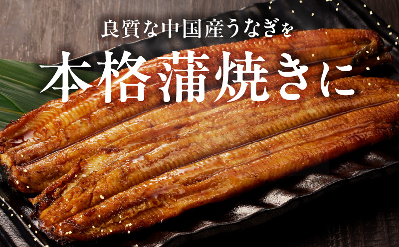 秘伝のたれ仕込み うなぎ蒲焼 合計480g（約160ｇ×3尾）鰻 ウナギ 中国産 温めるだけ 簡単 レンジ調理 ふっくらふわふわ 炭火焼き 備長炭 手焼き kgp0066