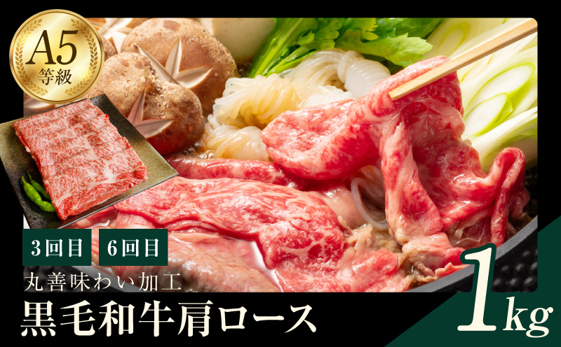 黒毛和牛 定期便 全6回 （ステーキ／焼肉／すき焼き・しゃぶしゃぶ） 12万円コース 丸善味わい加工【毎月配送コース】 mrzZ004