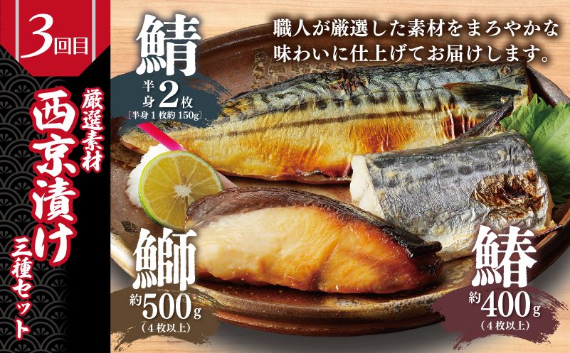栄物産店主厳選 食べ比べ 定期便 全5回【毎月配送コース】 099Z249