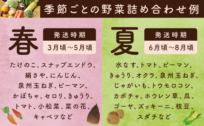【ANA限定】 10種類の新鮮野菜 定期便 全5回 詰め合わせ 国産【毎月配送コース】 099Z313