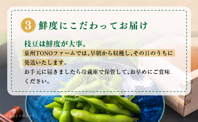 【畑から直送 朝採り】黒枝豆 3.6kg 【新鮮 野菜 泉佐野産 えだまめ やさい TONOファーム 高評価 数量限定 先行予約】 010B141