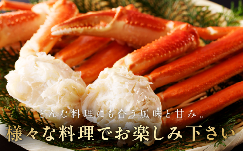 ボイルズワイ蟹 1.2kg カット済み（3-4人前） kgp0035