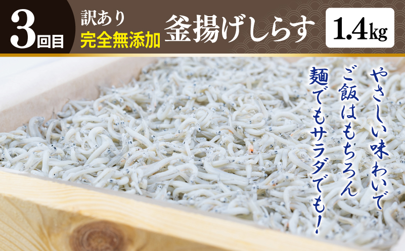 店主セレクト ハンバーグ／しらす 食べ比べ 定期便 全3回【毎月配送コース】 099Z498