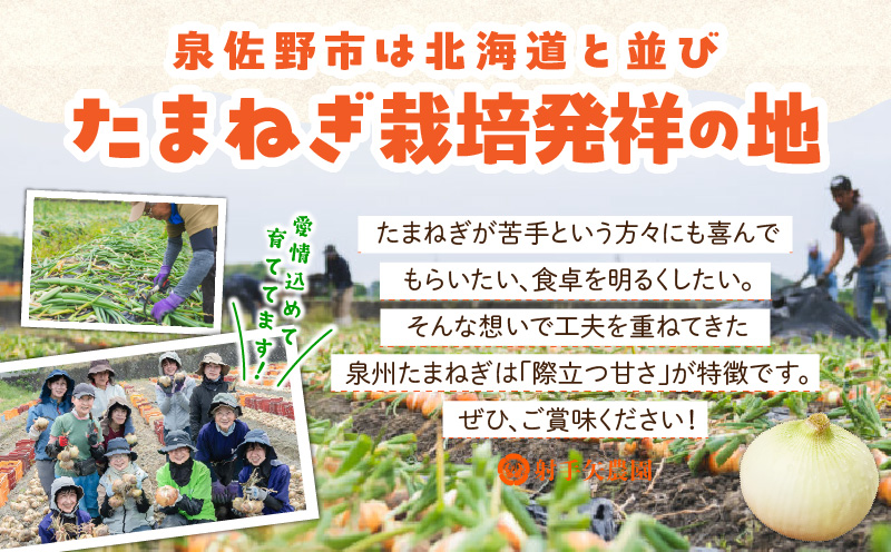 【先行予約】泉州たまねぎ 10kg 玉ねぎ 射手矢農園【家計応援 玉ねぎ タマネギ 玉葱 野菜 やさい 高評価 期間限定 TVで紹介！】 G3686