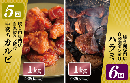 焼肉専門店厳選 大満足 焼肉 定期便 全6回 【毎月配送コース】 099Z135