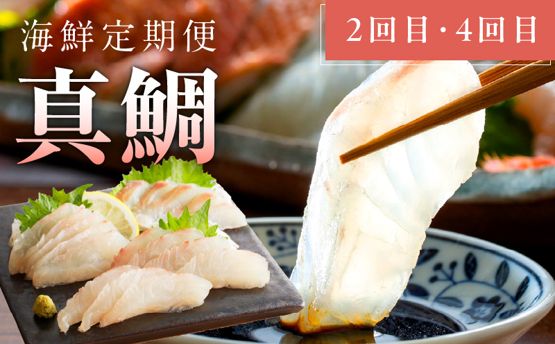 人気海鮮定期便 サーモン／真鯛 食べ比べ 全4回【毎月配送コース 小分け 訳あり サイズ不揃い 刺身 海鮮丼 人気 オススメ 冷凍】】 nbj0005