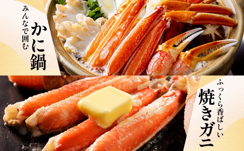 ボイルズワイガニ ビードロカット 400g前後【約2人前 昆布塩加工 海鮮 ずわい かに ズワイ蟹 北国からの贈り物 冷凍】 010B1610