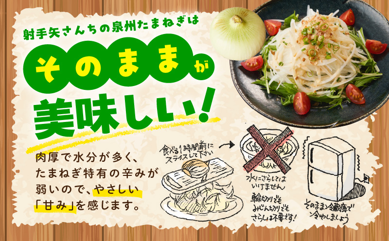 【プレミアム】泉州たまねぎ 5kg【玉ねぎ タマネギ 玉葱 甘い 野菜 国産 オニオン サラダ カレー バーベキュー 先行予約】 ity0023