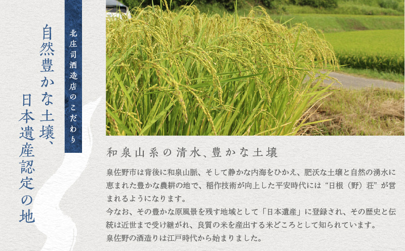 【スピード発送】日本酒 泉佐野の地酒「荘の郷」デラックス詰め合わせセット 720ml【日本酒 酒 お酒 おさけ 晩酌 ギフト 贈答 大正10年創業 北庄司酒造】 099H1924
