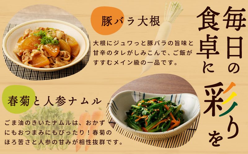 旬の新鮮 野菜セット（15種以上）定期便 全4回 おまかせ ピクルスの素付き ファミリー向け いずみピクルス NSW【毎月配送コース】 099Z279