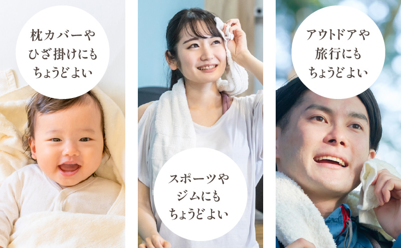 【ANA限定】ミニバスタオル 6枚（ホワイト／グレー）【ファミーユ フェイスタオル 以上 バスタオル 未満 泉州タオル 吸水 普段使い シンプル 日用品 たおる】 G2034-1