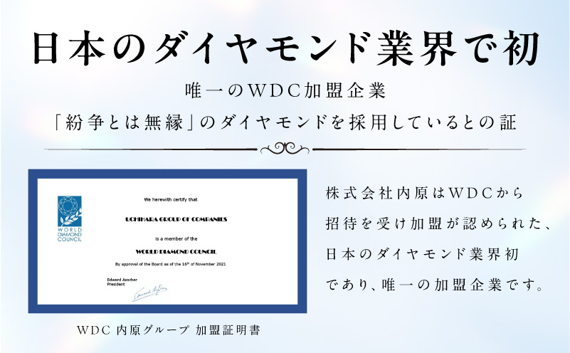 アルカンシェル YGダイヤピンキーリング（計 0.25ct）【鑑別書付き ジュエリー プレゼント ギフト ファッション アクセサリー 贈り物 贈答 お祝い 記念日】 J085