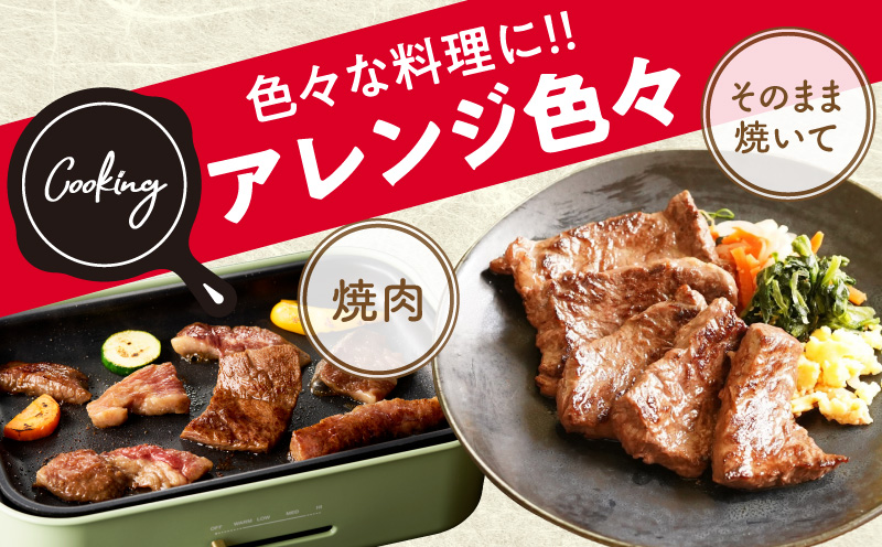 【お弁当サイズ】牛ハラミ ひと口ステーキ 800g【氷温熟成×旨味付け 小分け 400g×2P 味付き 訳あり 不揃い バラ凍結】 mrz0370