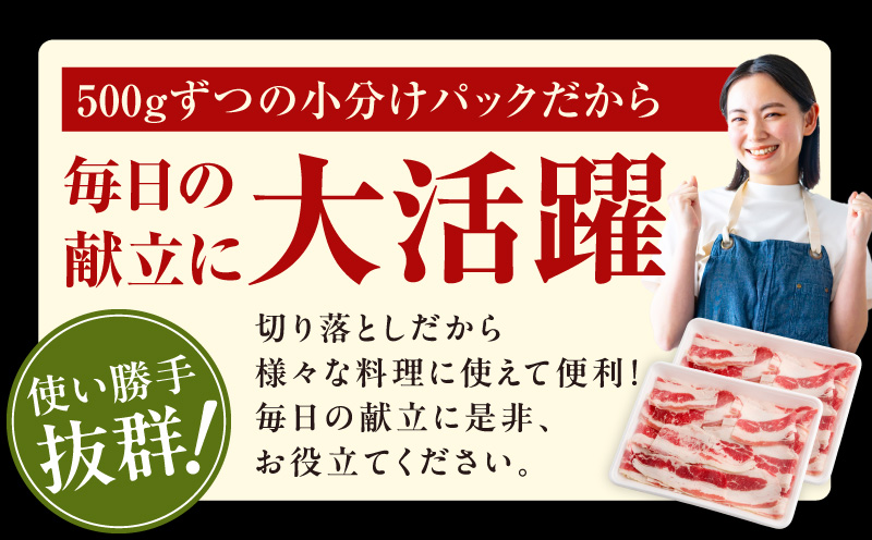 牛バラ肉 切り落とし 1kg【氷温熟成×極味付け 小分け 500g×2P 焼くだけ 簡単調理】 mrz0381