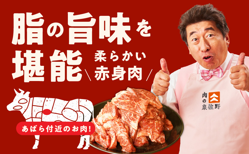 【お試し】牛肉 ハラミ 600g（300g×2P）【氷温熟成×特製ダレ】 mrz0388