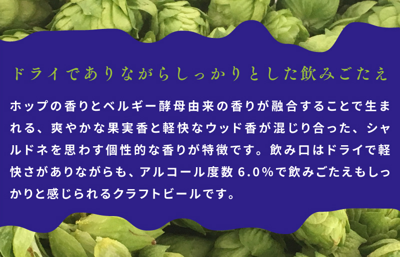 裏通りのドンダバダ 24本【クラフトビール お酒 beer びーる 宅飲み 家飲み 高評価 ふるさと納税限定 泉佐野オリジナル ヤッホーブルーイング】 G1661