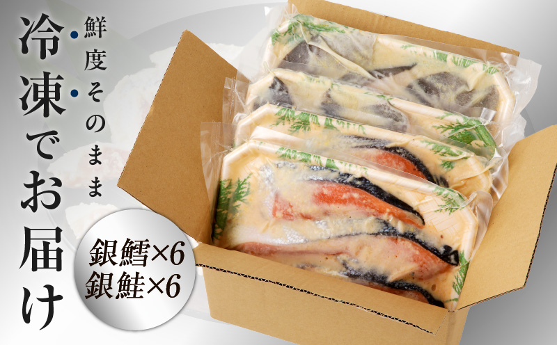 厳選 西京漬けセット 銀鱈／銀鮭 合計 12切れ 切り落とし 訳あり サイズ不揃い kgp0059