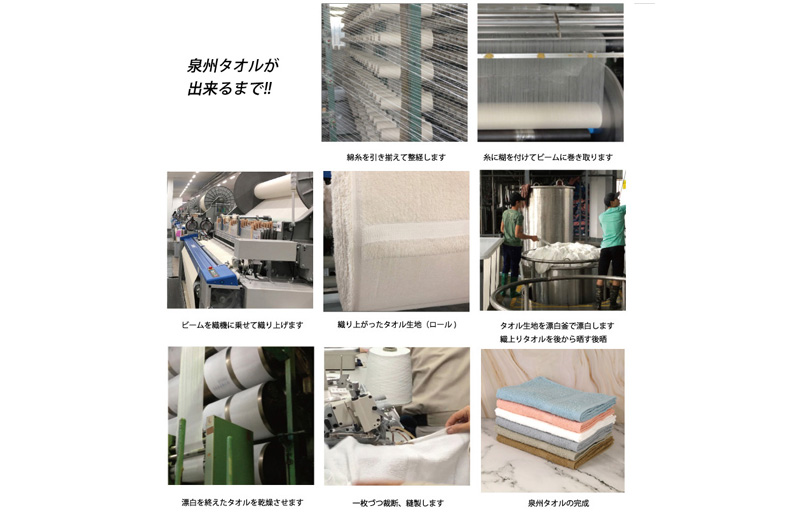 フェイスタオル6枚 サニーボーダー（ベリーショコラ） G3217