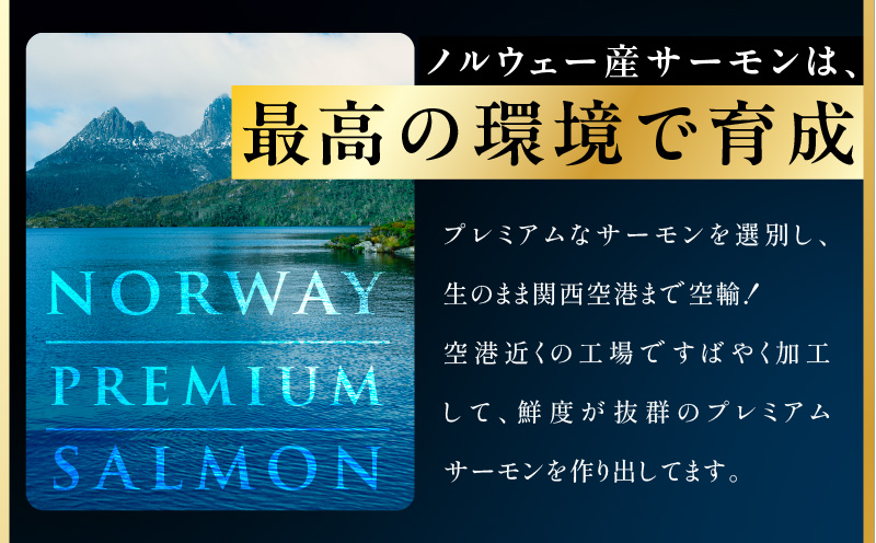 ノルウェー産 プレミアム アトランティックサーモン 1kg 【2～5柵 訳あり サイズ不揃い 上質 刺身 海鮮丼 サラダ 冷凍 物価高応援】 kgp0079