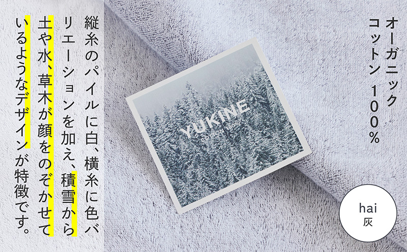 SHINTO TOWEL「ユキネ・ミニバスタオル」hai（灰）2枚セット  【オーガニックコットン100% 国産 吸水 普段使い シンプル 日用品 家族 ファミリー】 099H4004-1