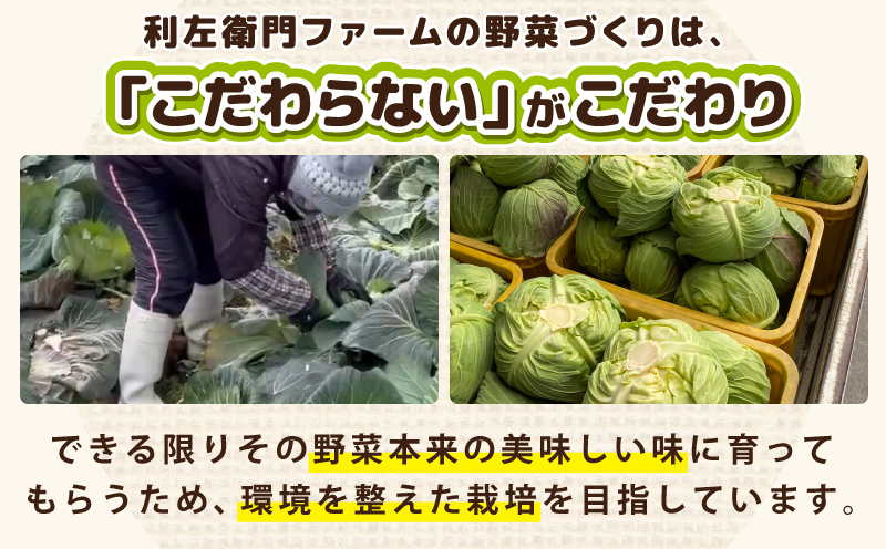 旬のおまかせ野菜 セット 2～7種類【産地直送 国産 やさい 新鮮 おまかせ 詰め合わせ 詰合せ】 G3452