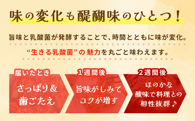 韓国人が作る！無添加・砂糖不使用のキムチセット500g+おまけ季節のキムチ100g【本場 韓国 きむち 人気 無添加 韓国料理 惣菜】 G3779