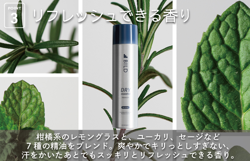 【スピード発送】ドライシャンプー 100ｇ 2本セット【シャンプー アウトドア 髪 汗 におい 匂い 臭い 対策 】 G3793