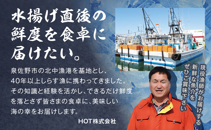 サーモン カマ 300g（約4～6切れ）【カマ 尻尾 小分け 海鮮 魚介 鮭 さけ しゃけ】 G3799