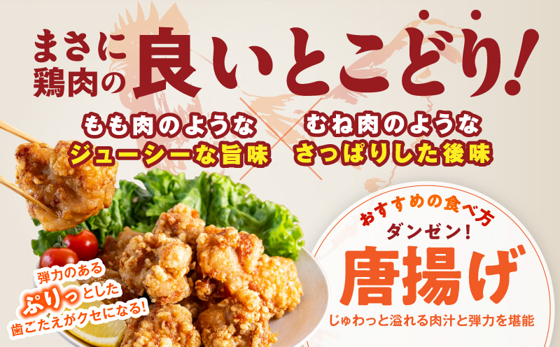 【氷温熟成×極味付け】国産鶏とろ（肩肉）1.5kg（300g×5P）【カット済み 氷温熟成×極味付け 小分け 味付き 簡単調理 訳あり サイズ不揃い 鶏肉 鶏とろ 肩肉 とり 圧倒的企業努力】 mrz0391