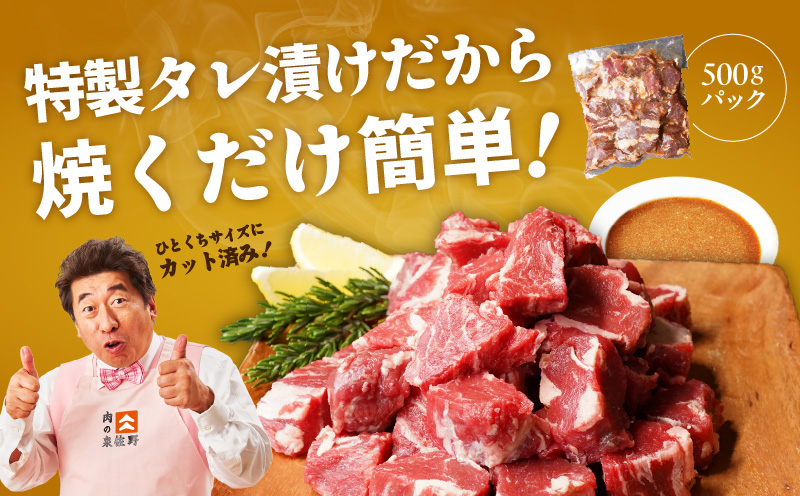 【定期便】牛ヒレ肉 切り落とし 1.5kg×3回【氷温熟成×特製ダレ 小分け 500g 訳あり サイズ不揃い やわらか ステーキ ひと口サイズ カット済み】 mrzZ008