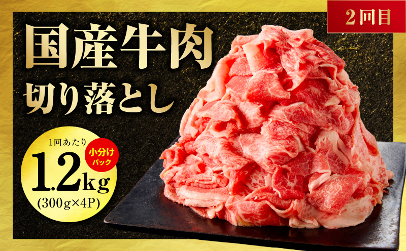 国産 牛肉 豚肉 鶏肉 定期便 3回 総量 4.2kg 【氷温熟成×極味付け 3種 食べ比べ 普段使い 味付き 小分け 訳あり サイズ不揃い 毎月配送コース】 mrzZ017
