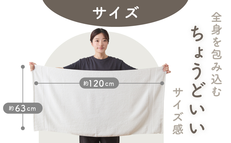 ホワイト バスタオル 3枚セット【ホテル仕様 上質 厚手 吸水性 泉州タオル たおる ギフト 国産】 015B624