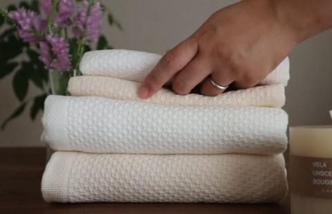 【ソフトハニカム】プレミアムタオル10枚セット（ベージュ）+ソフトハニカム織ハーフハンカチ1枚 G1970