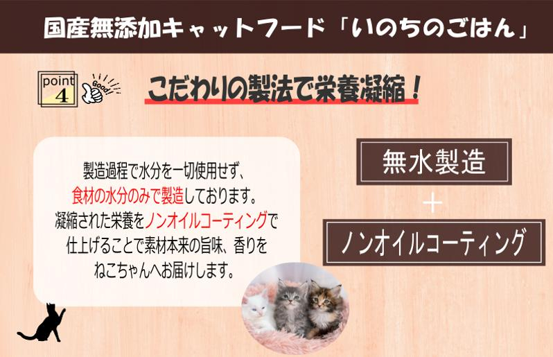 国産無添加 キャットフード 500g「いのちのごはん」タンパク質 66％以上配合タイプ【猫 ねこ ペットフード チキン 手作り ヒューマングレード 国産】 099H3598