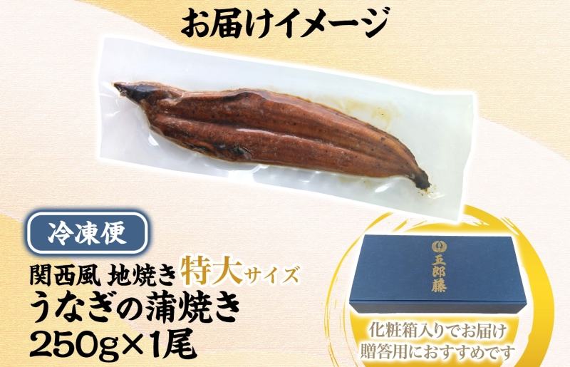 【贈答用】五郎藤 関西風地焼き 国産有頭旨鰻 250g×1尾 計約250g 特大 うなぎ ウナギ 蒲焼き 炭火 099H3443-1