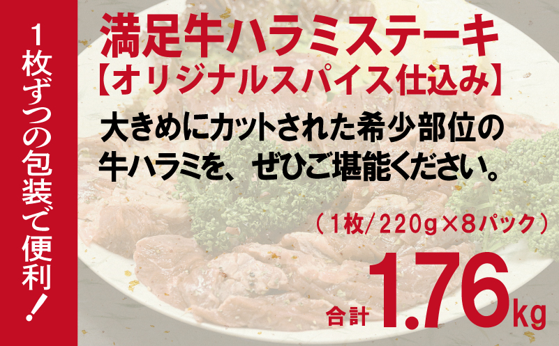 【満足牛ハラミステーキ】オリジナルスパイス仕込み 1枚220g×8P 合計1.76kg 【味付け ハラミ ステーキ 小分け 焼くだけ 簡単調理 BBQ 牛肉 普段使い】 099H4192