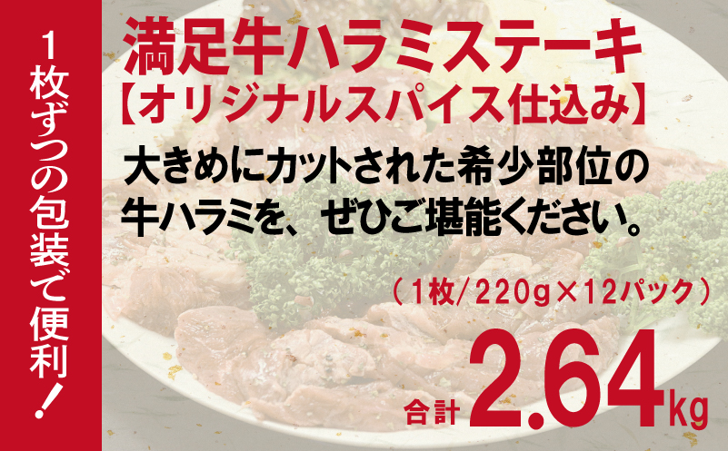 【満足牛ハラミステーキ】オリジナルスパイス仕込み 1枚220g×12P 合計2.64kg 【味付け ハラミ ステーキ 小分け 焼くだけ 簡単調理 BBQ 牛肉 普段使い】 099H4194