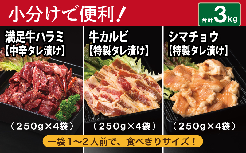 【タレ漬け3種の牛焼肉セット】 満足牛ハラミ・牛カルビ・シマチョウ 合計3kg【味付け ハラミ 小分け 焼くだけ 簡単調理 BBQ 牛肉 250g×各4P 普段使い】 099H4203