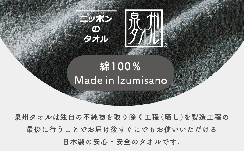 濃色カラー バスタオル 2枚（グレー）【泉州タオル 国産 吸水 普段使い シンプル 日用品 家族 ファミリー】 099H3733