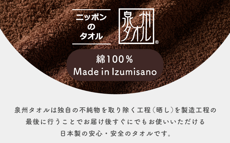 濃色カラー バスタオル 2枚（ブラウン）【泉州タオル 国産 吸水 普段使い シンプル 日用品 家族 ファミリー】 099H3735