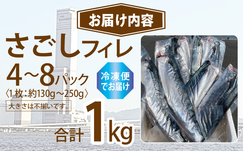 さごしフィレ 合計1kg以上 【小分け 切り身 海産 魚 お弁当 焼き魚 冷凍 惣菜 焼くだけ 訳あり サイズ不揃い 圧倒的企業努力】 099H3890-1