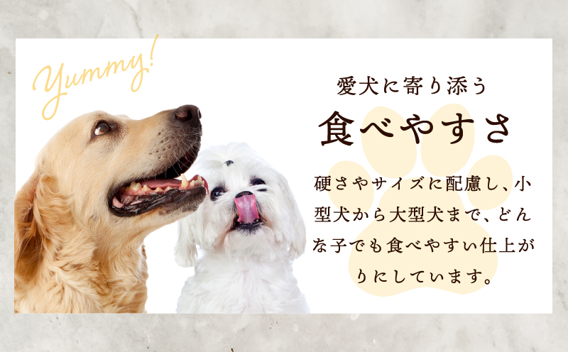 犬用ご褒美おやつセット【無添加 ドッグ いぬ 犬 イヌ おやつ ペット 果物 ドライフルーツ ささみ 国産 安心 犬のおやつ】 099H4347