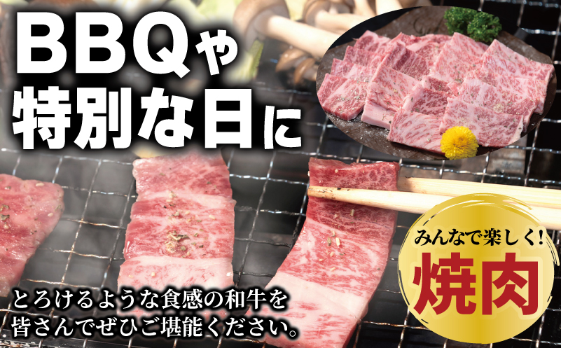 A5ランク 国産和牛 肩ロース 焼肉用 オリジナルスパイス 合計2.4kg（300g×8P） 099H4384